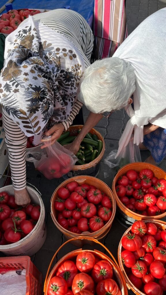 Hoe Promoot Ik Mijn Affiliate Links?