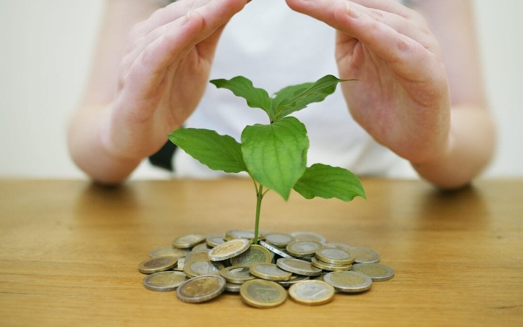 Hoe kan ik mijn geld beleggen: Een gids voor beginners